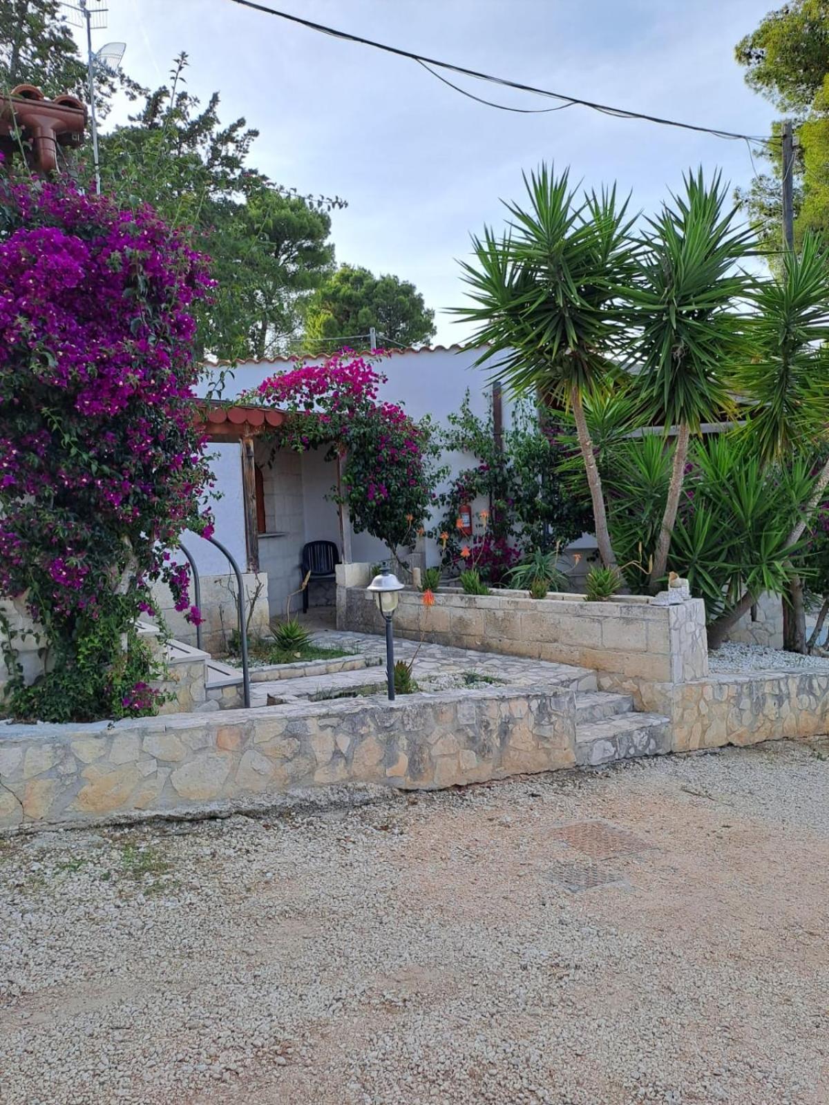 Althea Village Residence Vieste Exterior foto
