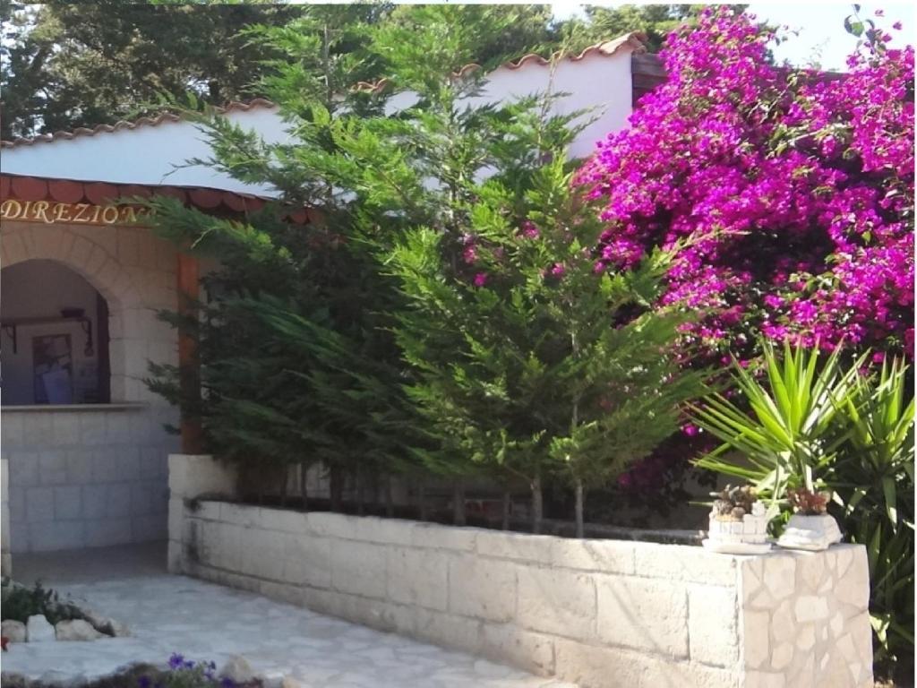 Althea Village Residence Vieste Quarto foto